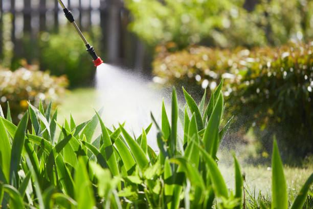 24/7 Emergency Ant Control experts in Pikeville, KY