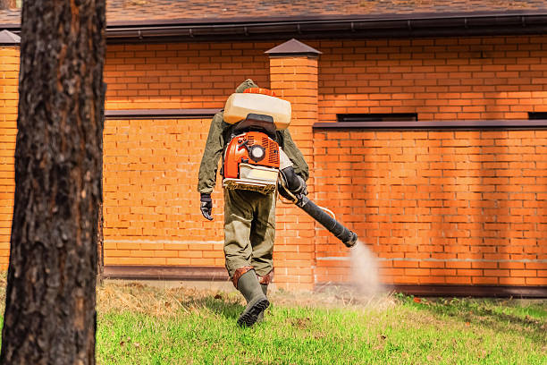 Trusted Bed Bug Control service in Pikeville, KY - Nex Pest Control